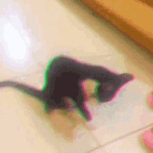 a black cat is laying on a tiled floor with a green background
