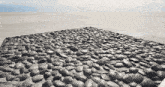 a pile of rocks is sitting on the ground in the desert