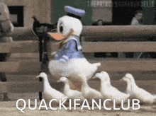 Quackifanclub GIF - Quackifanclub GIFs