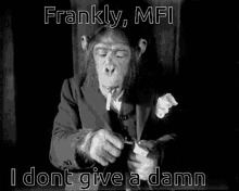 Mfi Monkey GIF - Mfi Monkey Suit GIFs