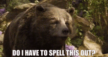 The Jungle Book Baloo GIF - The Jungle Book Baloo Do I Have To Spell This Out GIFs
