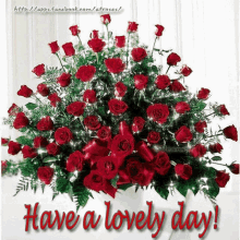 hello have a lovely day red roses