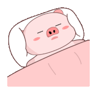 Piggy Sleep Sticker