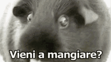 Vieni A Mangiare è Pronto Ho Fame A Tavola Mangiare GIF - Come And Eat Dinner Is Ready Hungry GIFs