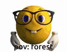 Povforest GIF - Povforest GIFs