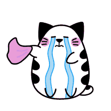 matcha cat sobbing tears crying