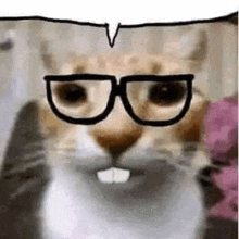 Nerd Cat GIF - Nerd Cat Think GIFs