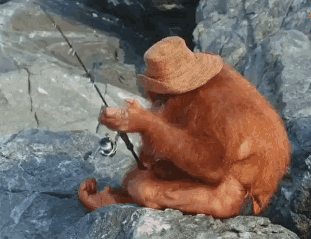 Fishing Monkey GIF - Fishing Monkey Monkey Fishing - Discover