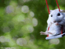 GIF