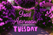Tuesday Afternoon Tuesday GIF - Tuesday Afternoon Tuesday GIFs