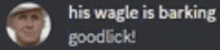 a blurry picture of a man with the words his waggle is barking good lick .