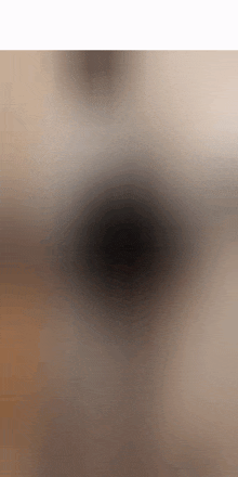 a close up of a dog 's nose with a black spot in the middle .