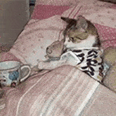 a cat is laying on a bed with a stuffed animal and a cup of coffee .