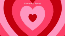 I Love You Ferret GIF - I Love You Ferret I Like Ferrets GIFs