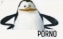 a blurry picture of a penguin from spongebob squarepants with the word porno in the corner .