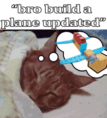 a picture of a cat with a thought bubble that says " bro build a plane updated "