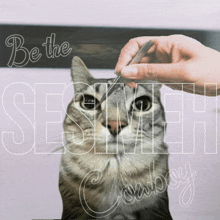 a picture of a cat with the words be the sesmeh cowboy