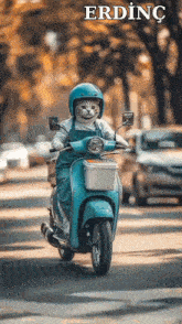 a cat wearing a helmet and apron is riding a blue scooter with the name erding on the bottom