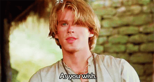 the princess bride quotes as you wish