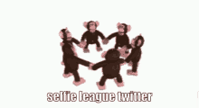 Twitter Selfie GIF - Twitter Selfie Monkeys GIFs