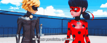 a ladybug and cat noir are standing next to each other and ladybug asks cat noir if he has permission