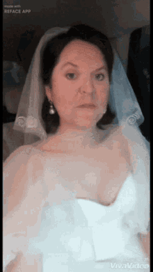 ren%C3%A9e slater bride veil pretty