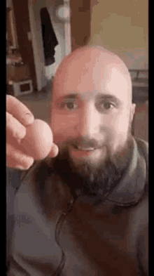 Bald Head Egg GIF - Bald Head Egg Eye Roll GIFs