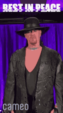 Wwe Undertaker GIF - Wwe Undertaker The GIFs