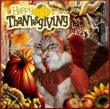 Thanksgivingdinner Mycat GIF - Thanksgivingdinner Mycat GIFs