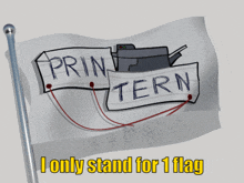 a flag that says " print tern " on it