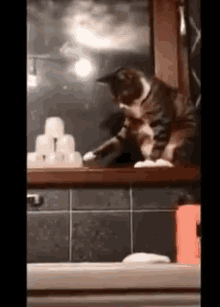 Angry Cat - Game GIF - You Think This Is A Game Cat Attack - Discover &  Share GIFs