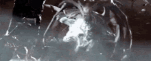 Oryx GIF