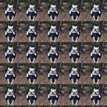 a repeating pattern of dogs sitting on swings
