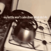 a tea kettle is on a stove with the words " my kettle won 't calm down what do i do " above it