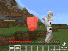 a man in a white hoodie is standing in a minecraft world