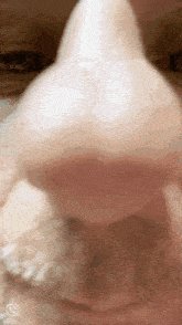 Nose Smoke GIF