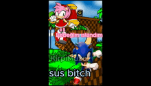 Sonic Shitpost GIF - Sonic Shitpost Türkçe GIFs