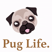an illustration of a pug with the words pug life written below it