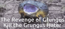 Grungus Froge GIF - Grungus Froge Revenge GIFs