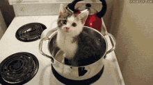 cat stove cooking tendies snapsauce