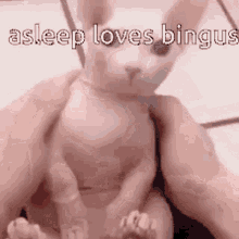 Asleep Bingus GIF - Asleep Bingus Asleepbingus GIFs