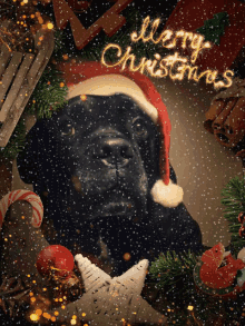 Merry Christmas Happy Holidays GIF - Merry Christmas Happy Holidays Dog GIFs