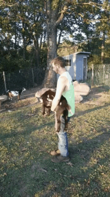 Goat Cody GIF