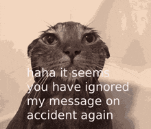 a black and white photo of a cat with the words " haha it seems you have ignored my message on accident again "