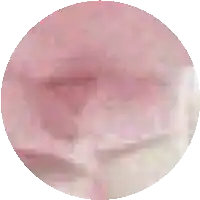 a close up of a pink and white circle with a white background .