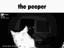 The Peeper Peeper GIF - The Peeper Peeper Funny GIFs