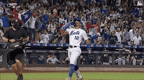 New York Mets GIFs on GIPHY - Be Animated