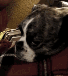 Trouble Tired GIF