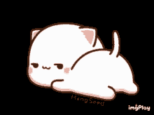 White Cat GIF - White Cat Looking GIFs
