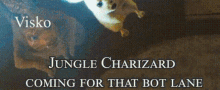 Jungle Charizard GIF - Jungle Charizard GIFs